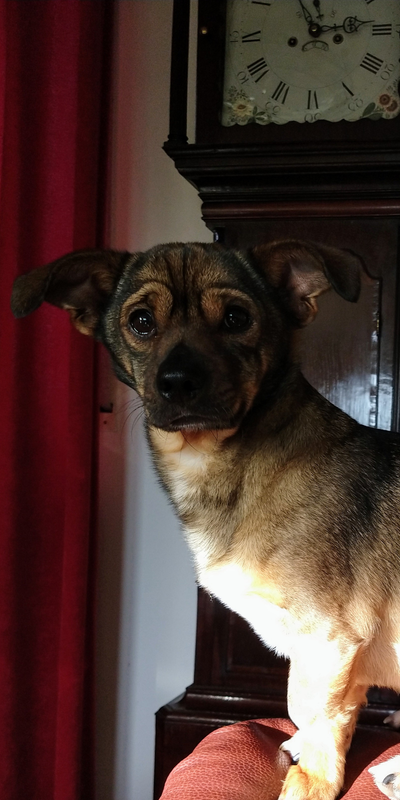 Screenshot_20220513-155822