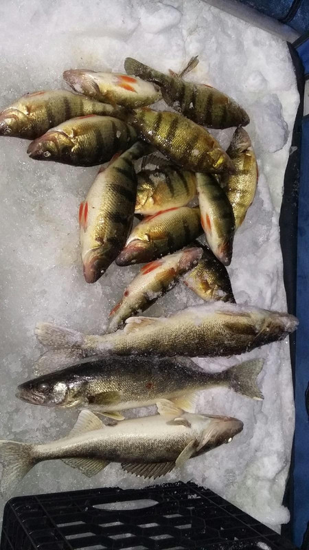 2019021895