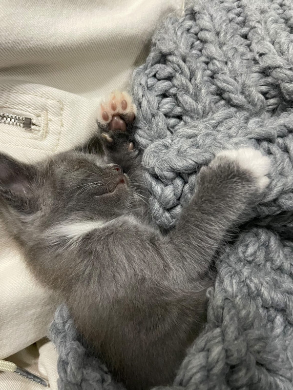 1D67FE64-BDA1-498E-836E-3F033A400D8A