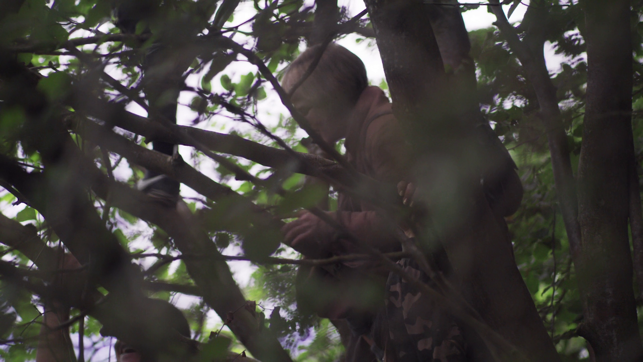 vlcsnap-2024-01-24-23h34m58s077