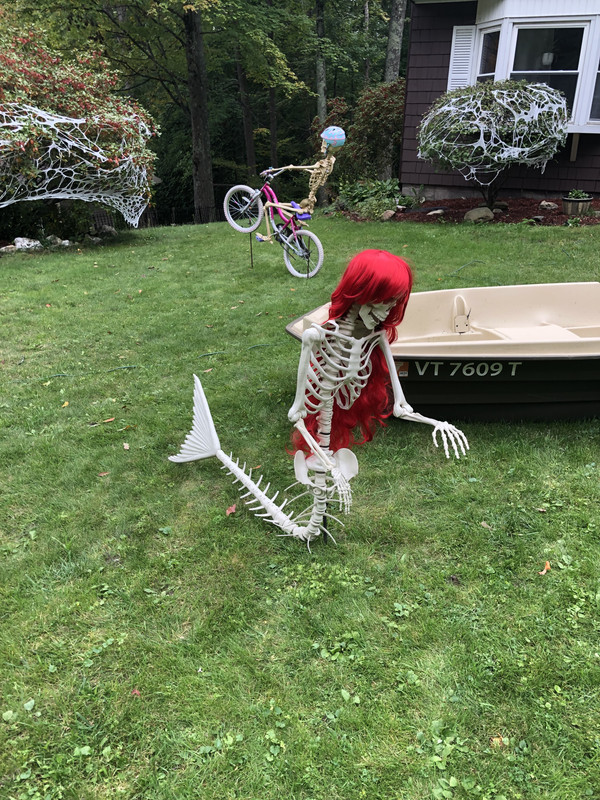 0BEFC653-598B-4719-81D7-E06D2E6E65BC