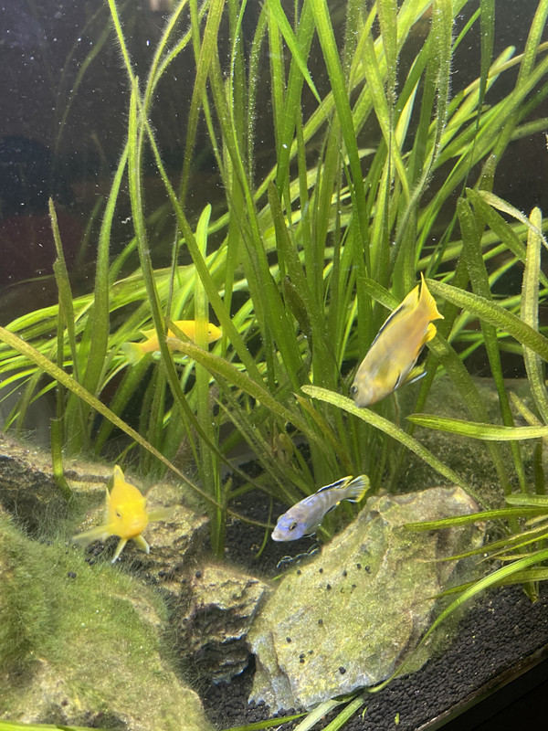 D3405822-604C-4FD9-BE35-E07518F00F13