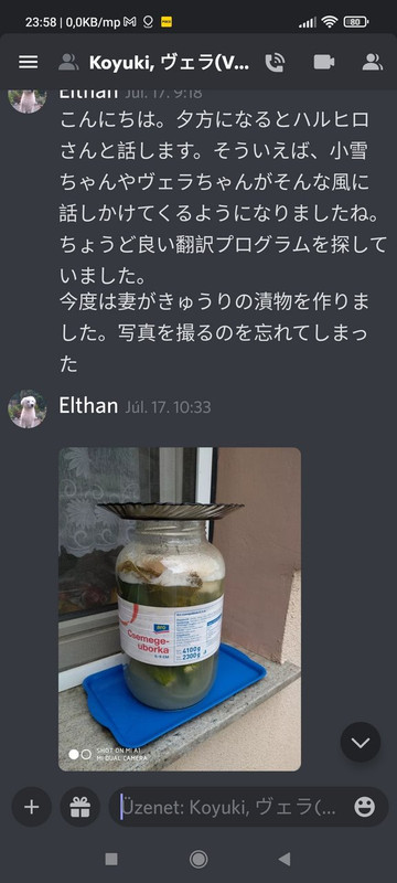 Kép