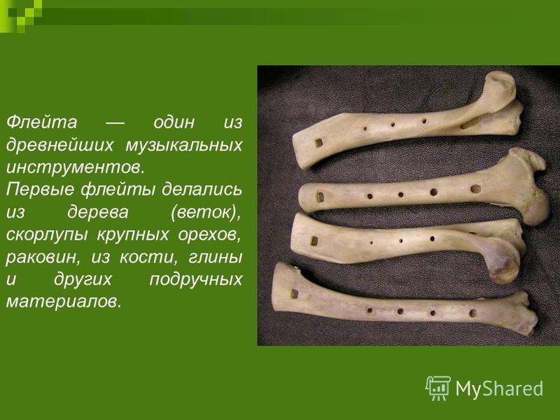 Камышовая флейта история и инструментальные особенности