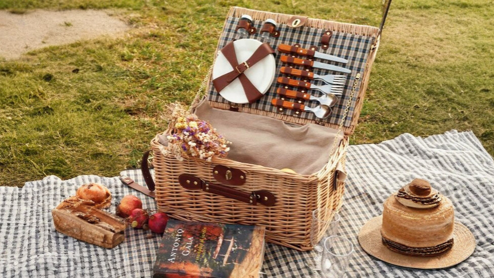 0016263-52040-casta-picnic-kiwano-bodego
