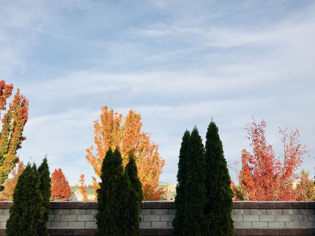 [Image: 9-E102-AD7-7-F74-412-E-A225-93-FFDD1-DE3-B2.jpg]