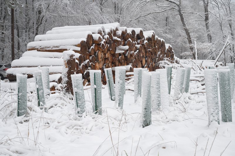 white-snow-logs.jpg