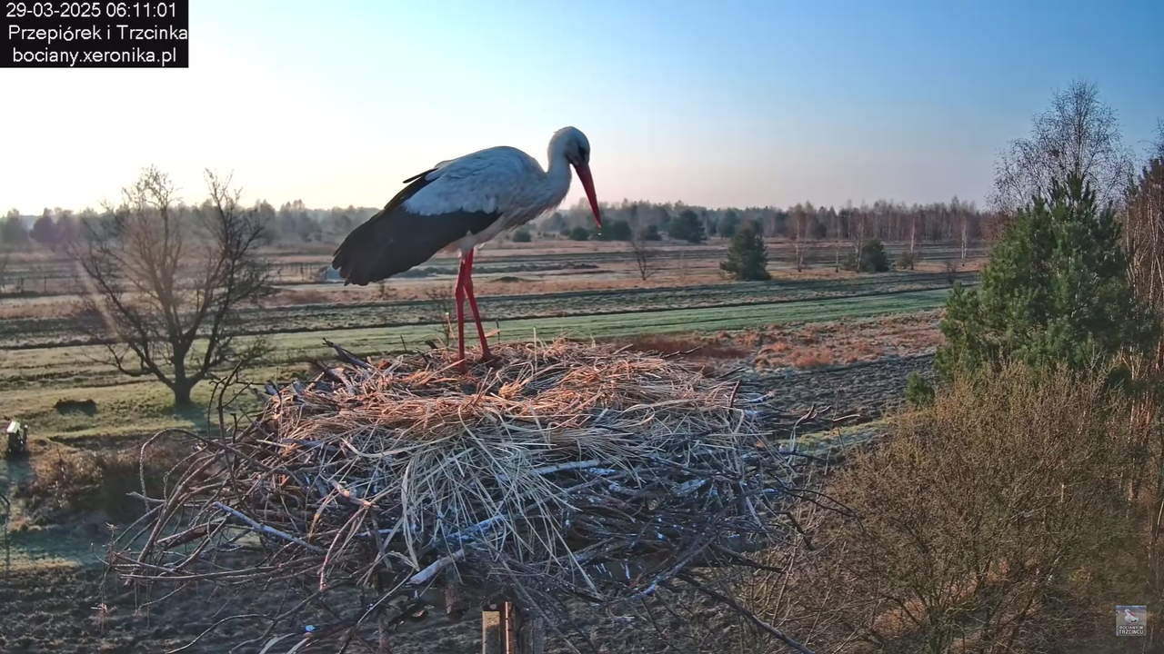 29032025porannezamieszanie_5