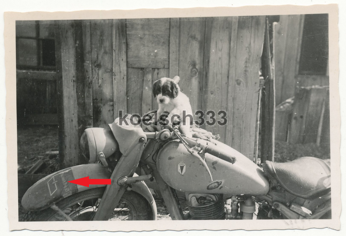 Foto Hund auf einem DKW Krad Motorrad mit Beschriftung Sturmgeschütz Brigade 325