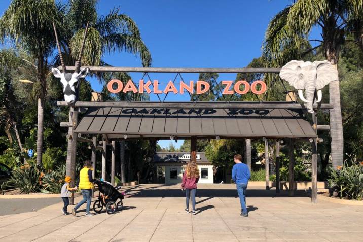 Experience Boo at the Zoo at the Oakland Zoo or San Francisco Zoo
