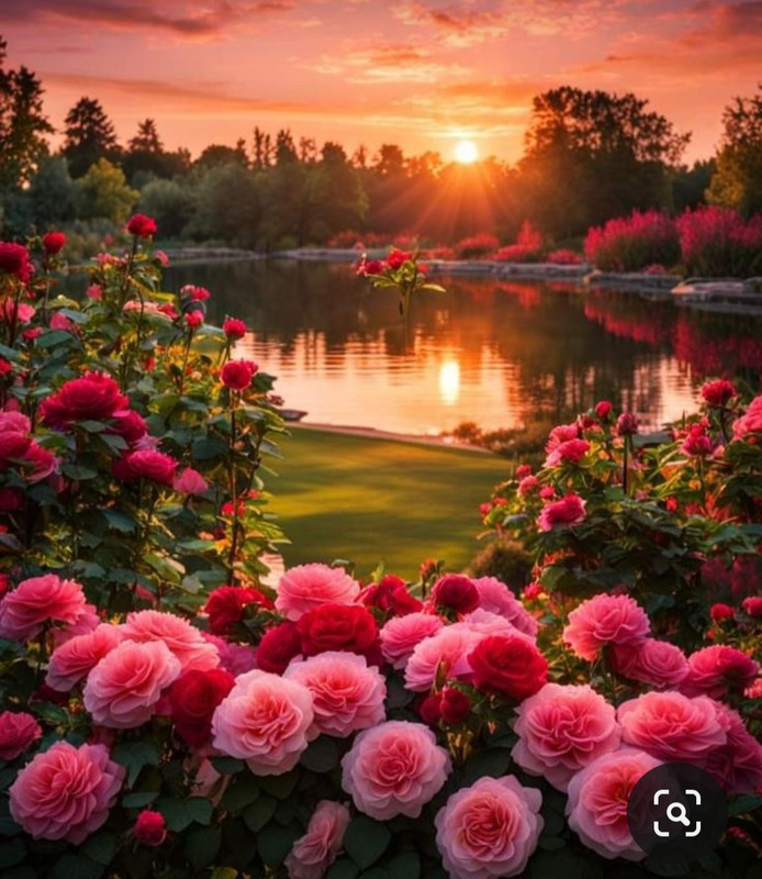 Screenshot_20240402_215118_Pinterest