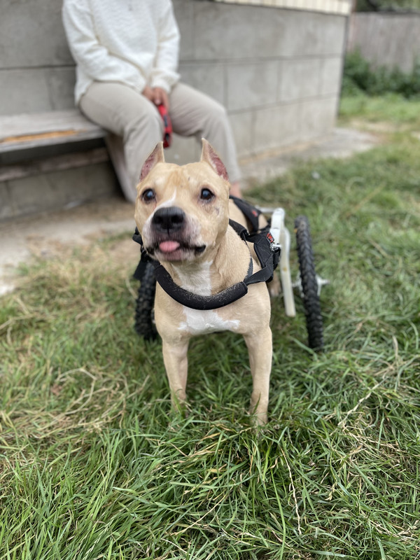 48B1A51B-C57C-48D6-A01B-C10F9F5283D6