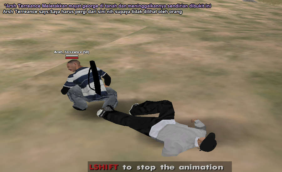 ss13.png