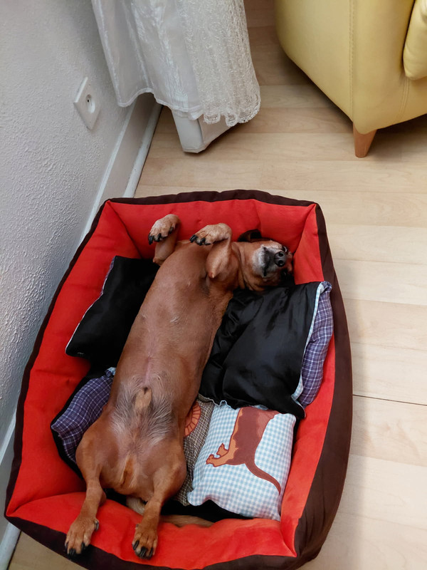 [Image: IMG-20250622-055647.jpg]