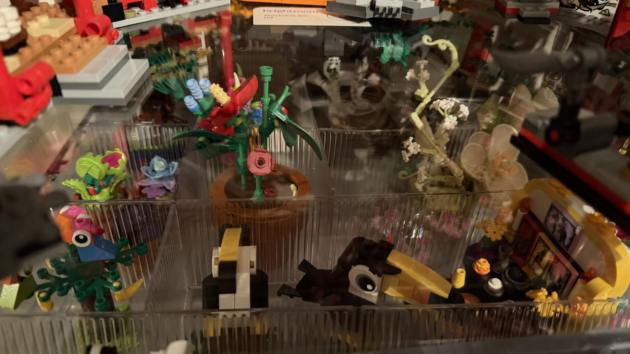 638078002 10235389654734525 6136677437104304957 n