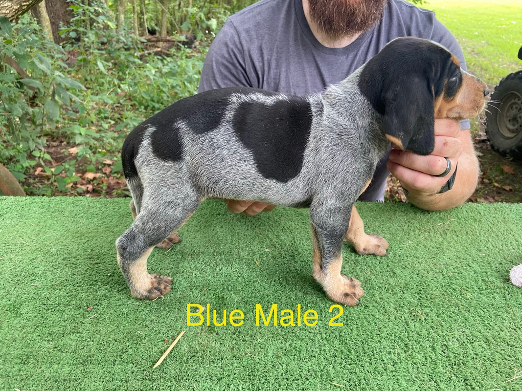 4D3BAAF8-5C45-4509-9EF1-ED5C832A2E14