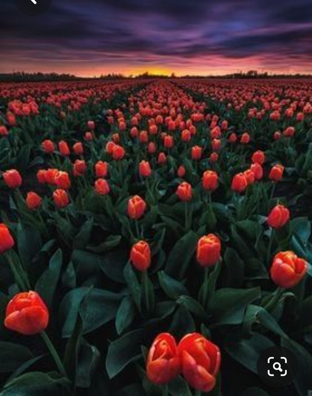 Screenshot_20230719_223528_Pinterest