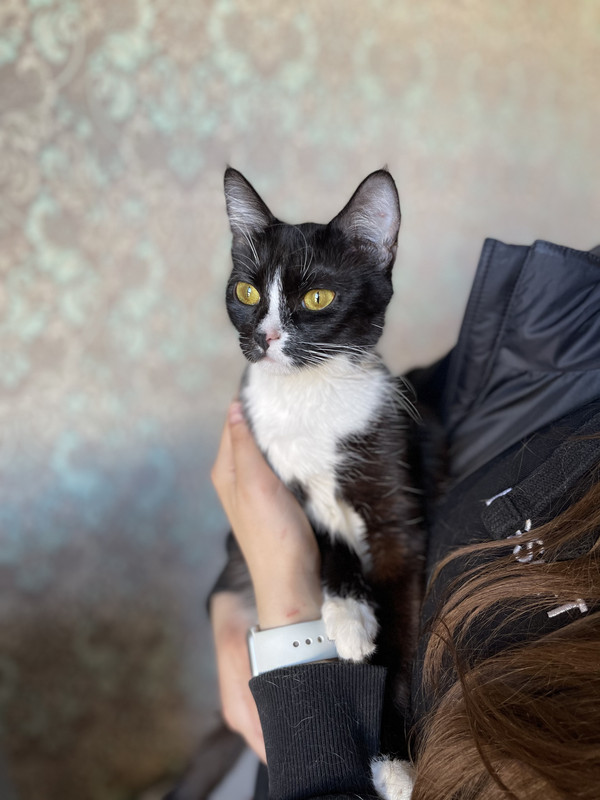 E8AA7E70-E0A6-4506-A07E-EA10B5FEF147