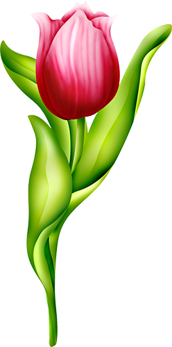 KBK_PrettyRabbit (45)