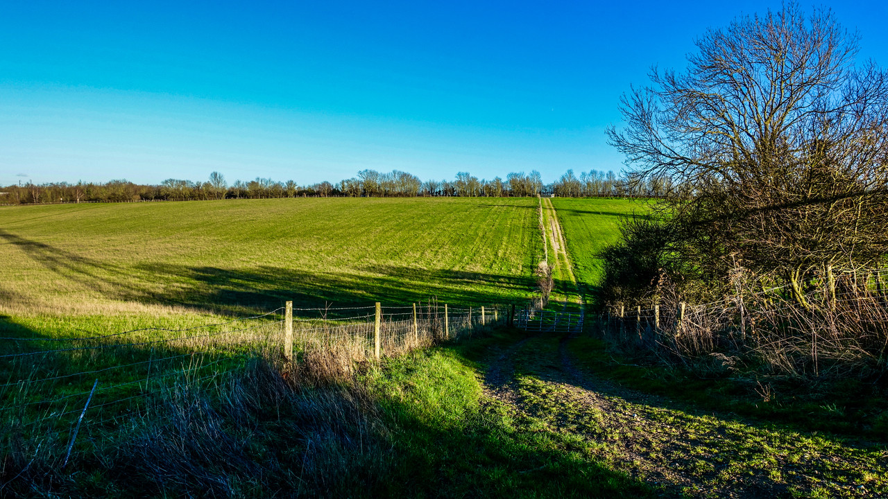 7591B325-16A1-4A55-B565-FEED5C015BE5