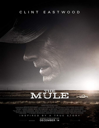Download The Mule (2018) 720p WEB-DL 950MB