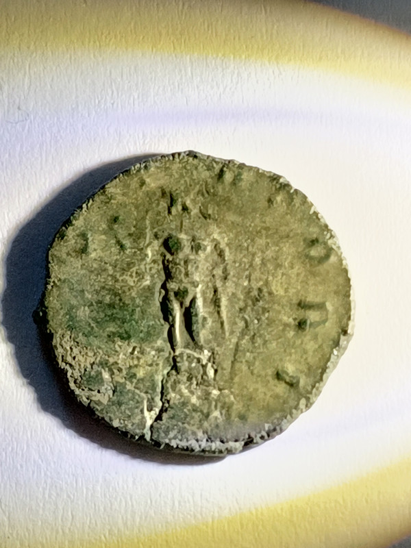 romanitas 5A