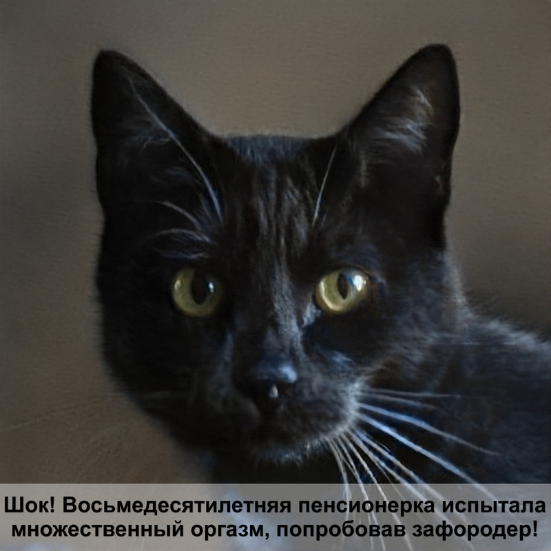 как сделать когтеточку для кошки