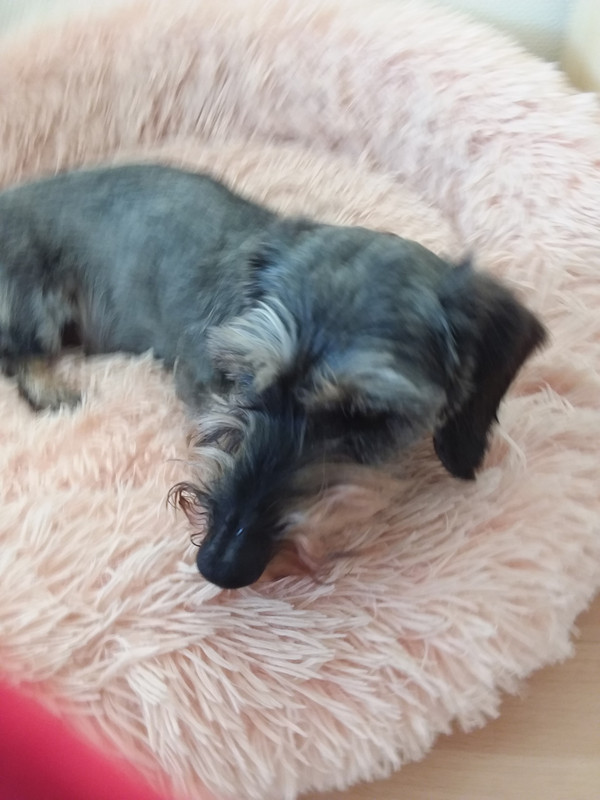 [Image: 20240525-170127.jpg]