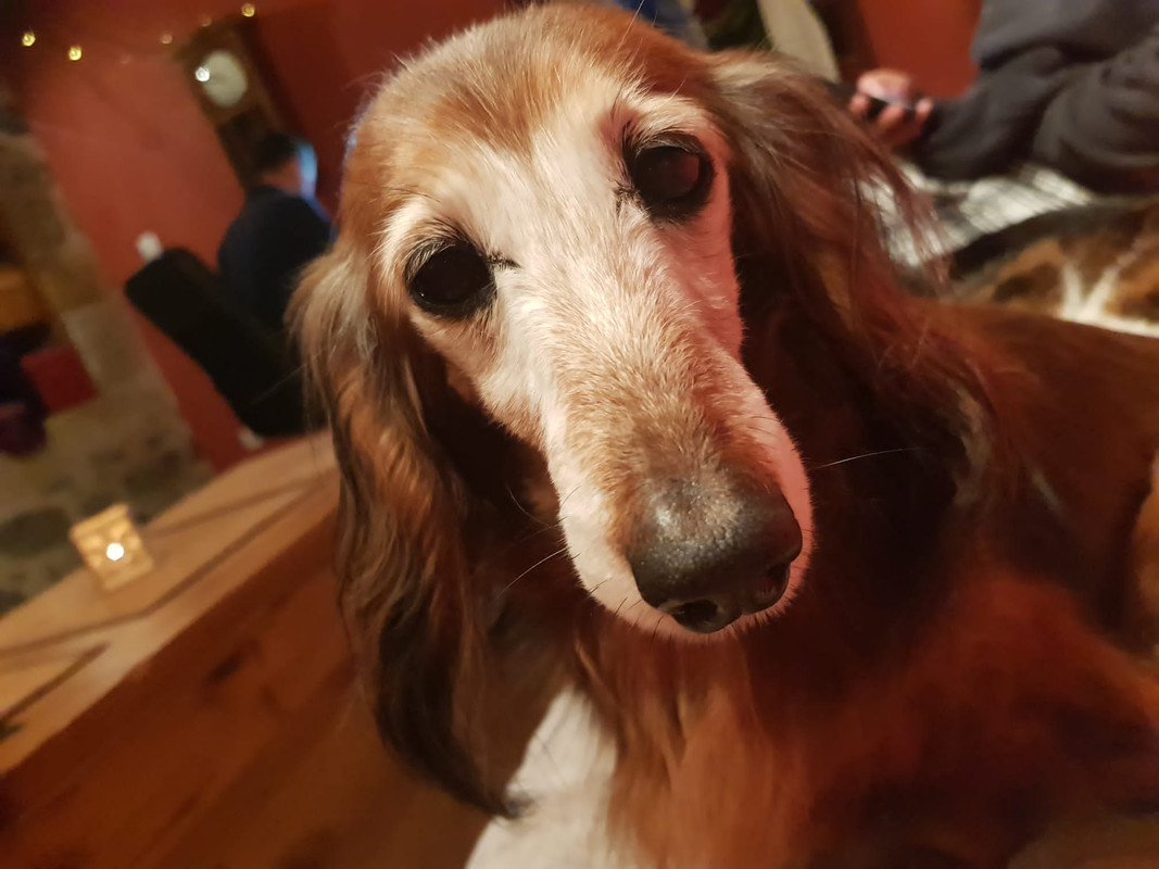 [Image: D0-AEBDDB-A5-B6-4469-9791-5-B3025-B14400.jpg]