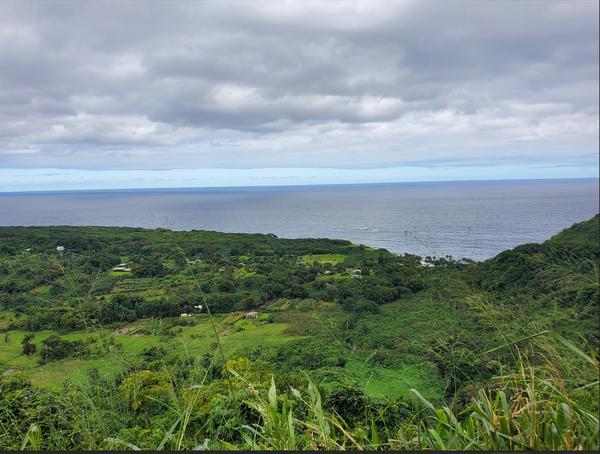 [Image: Hawaii20241121Roadto-Hana.jpg]