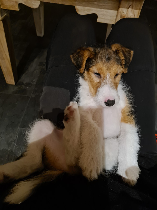 4ECBC9A3-DF33-4ED3-AE3E-284A459EC407