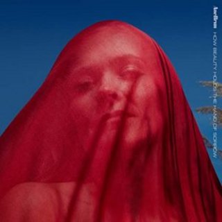 Ane Brun - How Beauty Holds The Hand Of Sorrow (2020) .Flac