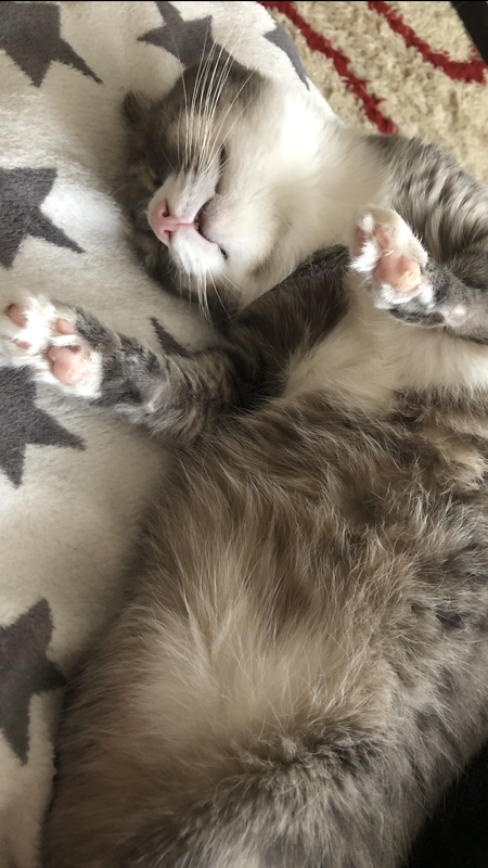 159A5E74-FCDD-4676-B32C-DAE48EB15FB9