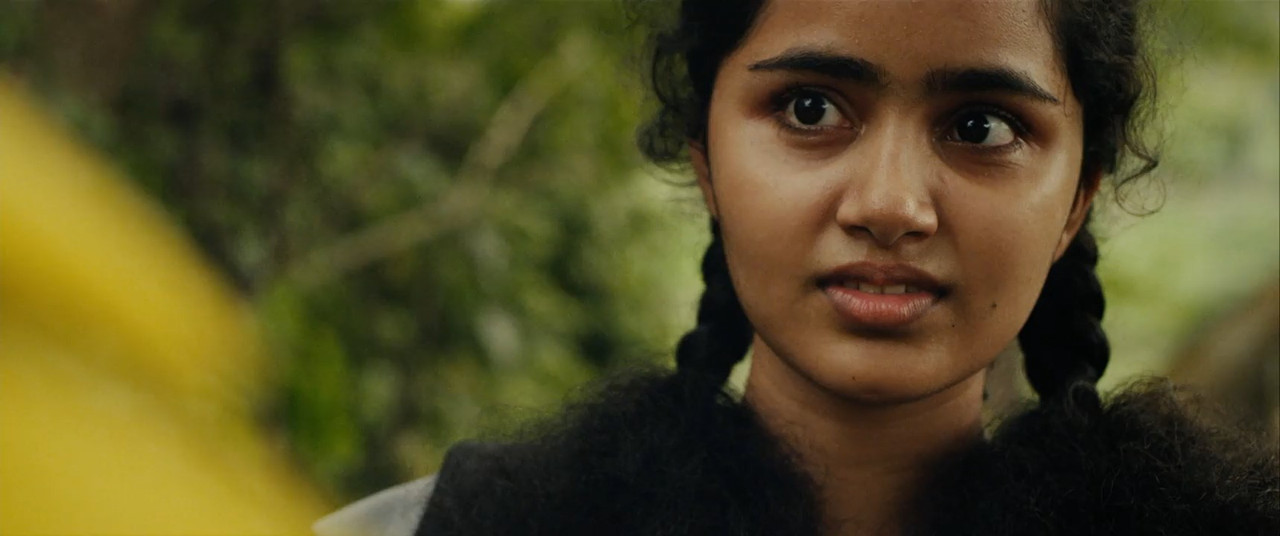 Premam 2015 WebRip [Malayalam] 480p, 720p ESub Screenshot