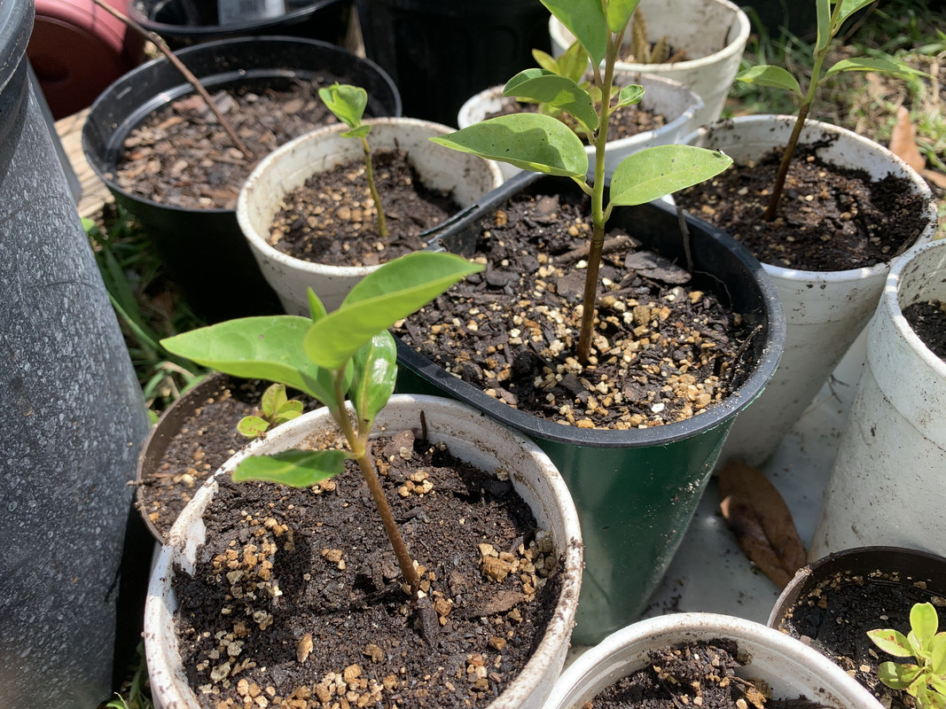 EC803A5B-55ED-43BA-A373-479A70950027