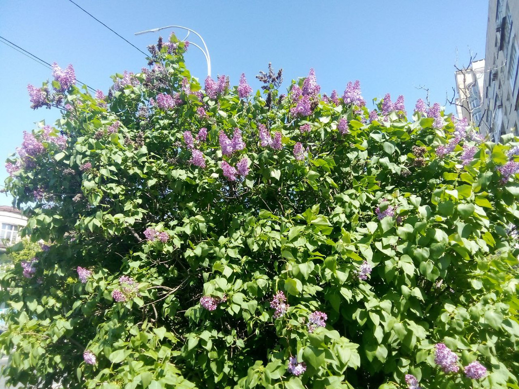 photo_2025-04-22 9.55.40 пп