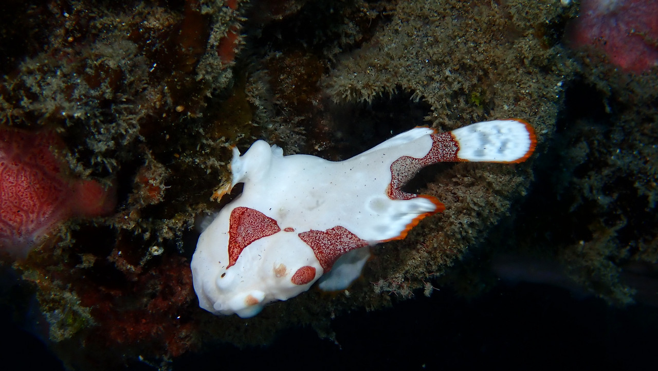 86794540-3ECF-415E-A007-A73C6D0C7ED9