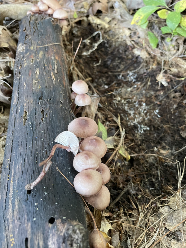 41B87B7A-C0F9-47AE-8D71-E2E0AFB3B888