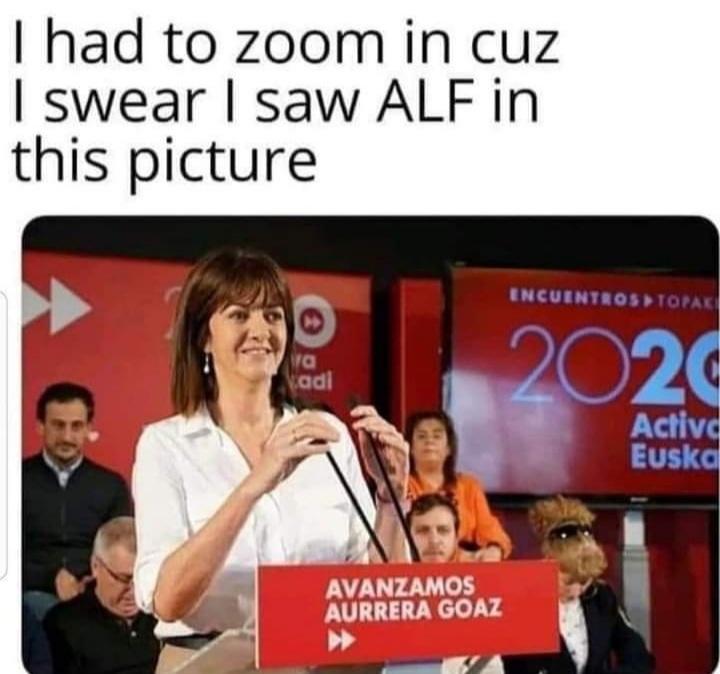 [Image: Zoom.jpg]