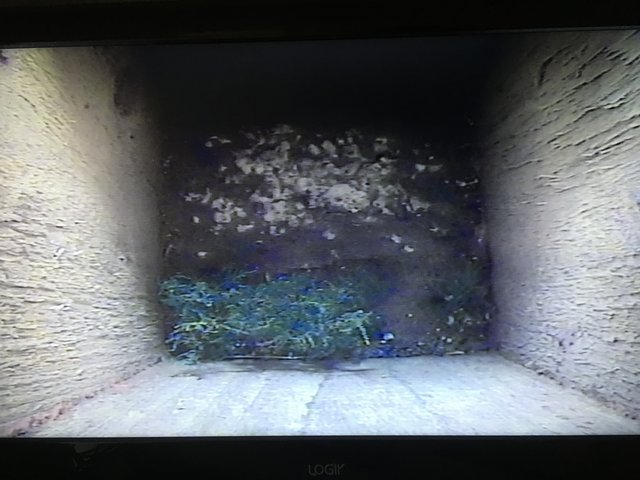 29CEC8A3-BABA-48FA-B1B5-317895CBDFE7