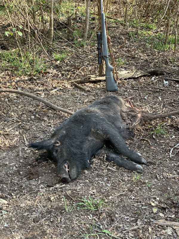 401FB234-543B-4772-AF87-43E0321CE36B