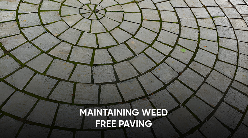 how to stop weeds in block paving