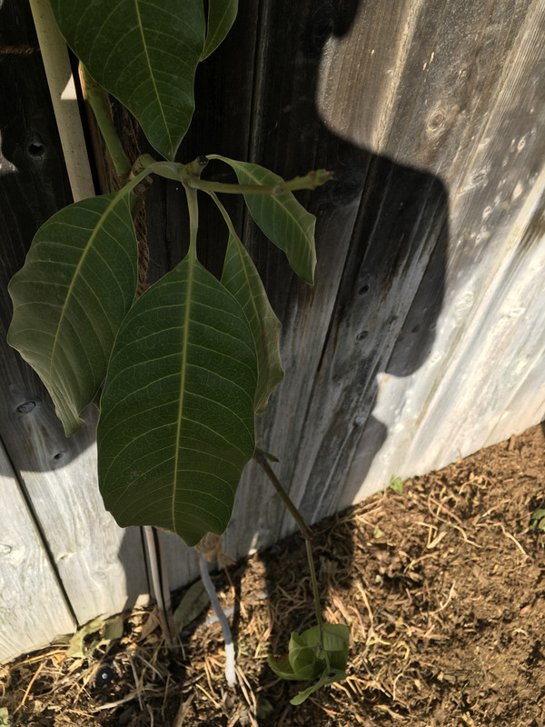 E87A1429-8CD1-4961-81FA-456F9AE92C47