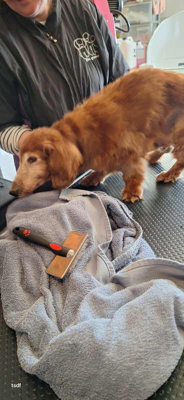 [Image: 20250313-092214.jpg]