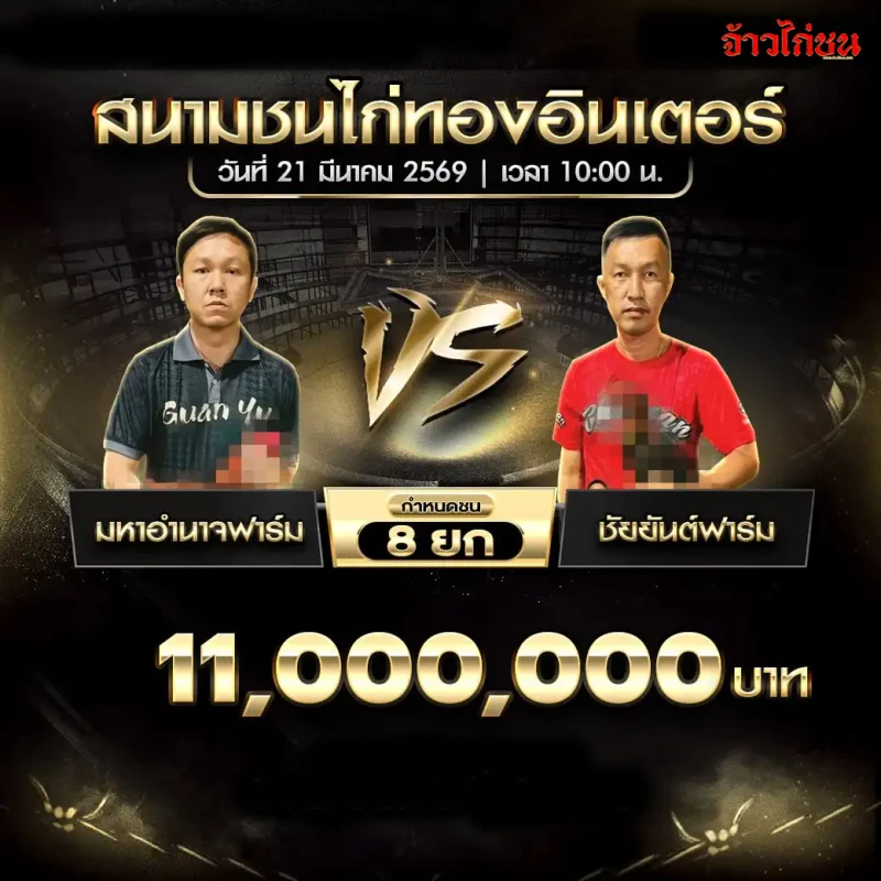 มหาอำนาจฟาร์ม ปะทะ ชัยยันต์ฟาร์ม ในโปรแกรมไก่ชนวันนี้ สนามทองอินเตอร์