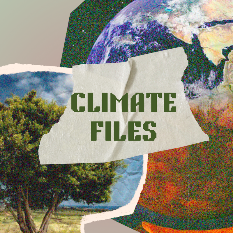 The Climate Files