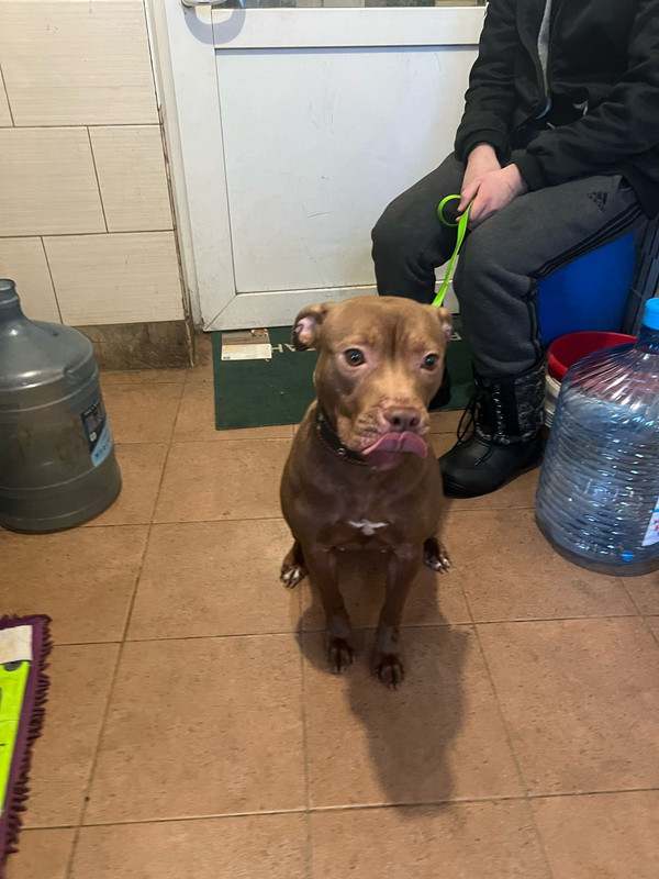 WhatsApp Image 2024-02-04 at 19.39.33 (1)