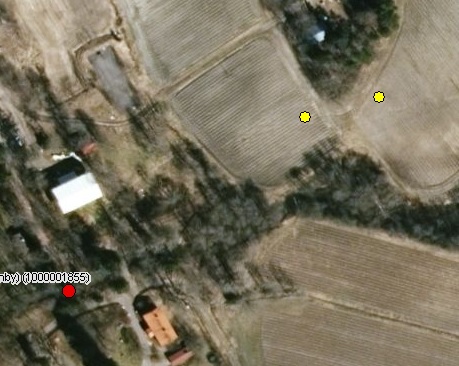 laillisestituhottumuinaisjäännös2