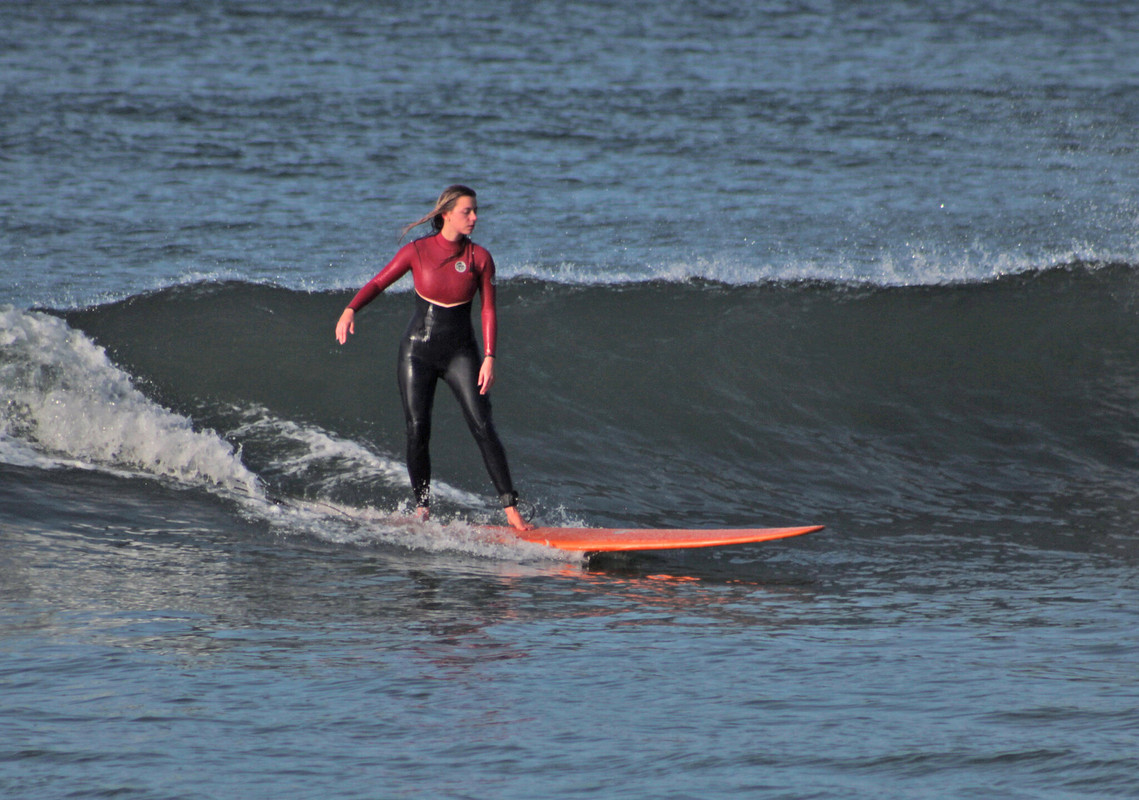 surfing310N