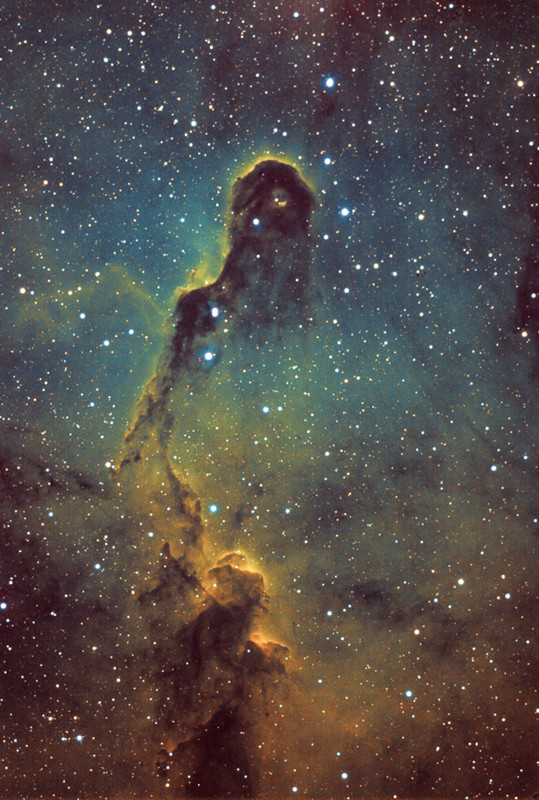 IMAGE: https://i.postimg.cc/nVXrBdKV/Elephants-Trunk-Small.jpg